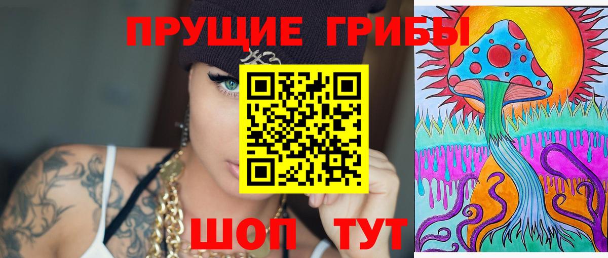 закладки  Вход с VPN  Торжок  Галлюциногенные грибы Psilocybe 