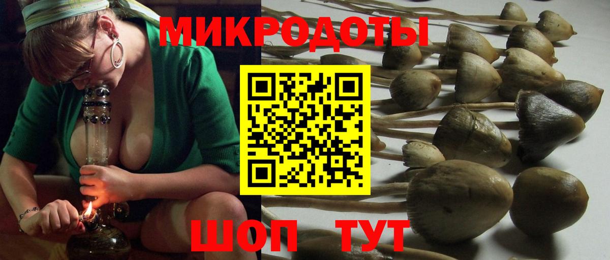 Псилоцибиновые грибы Magic Shrooms Торжок