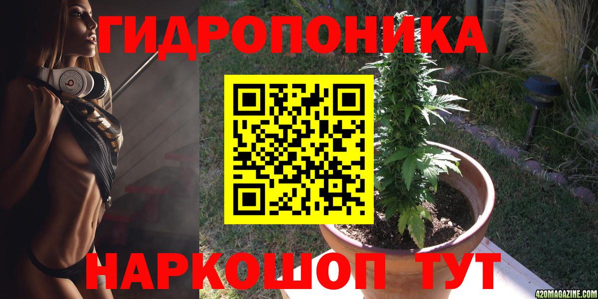 Торжок  МАРИХУАНА сатива  Канабис Ganja  Бошки марихуана сатива  Вход с VPN 